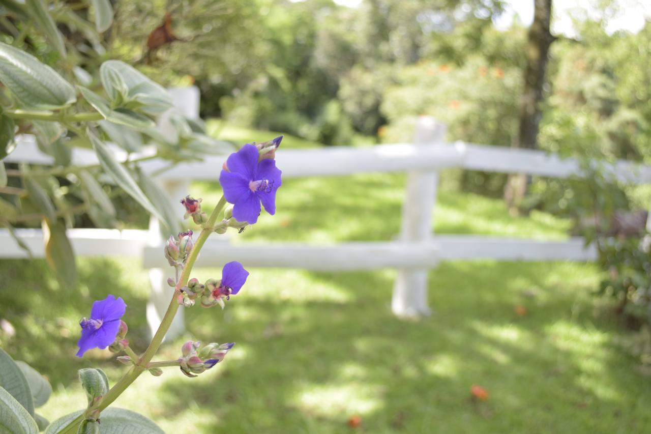 Fazenda Fonte Colina Sao Pedro (Sao Paulo)